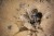 Sonel_CMM-30_3.jpg